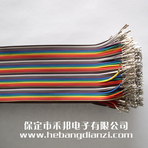 2.54杜邦线40cm